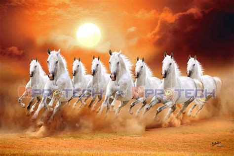 Eight Horses .